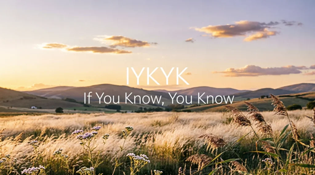 Why Do People Use IYKYK?